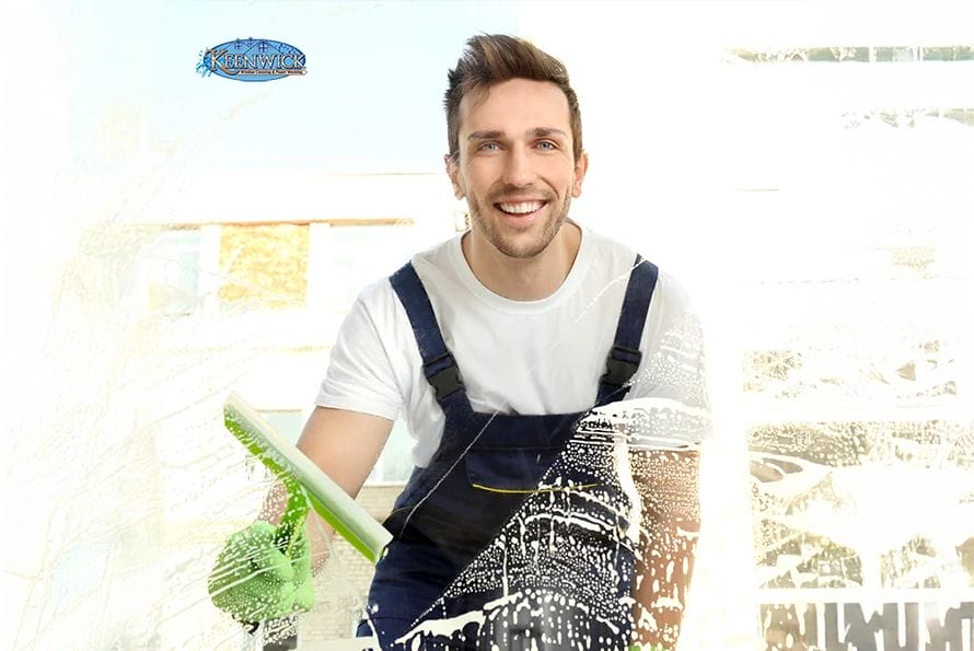 professional window cleaning service