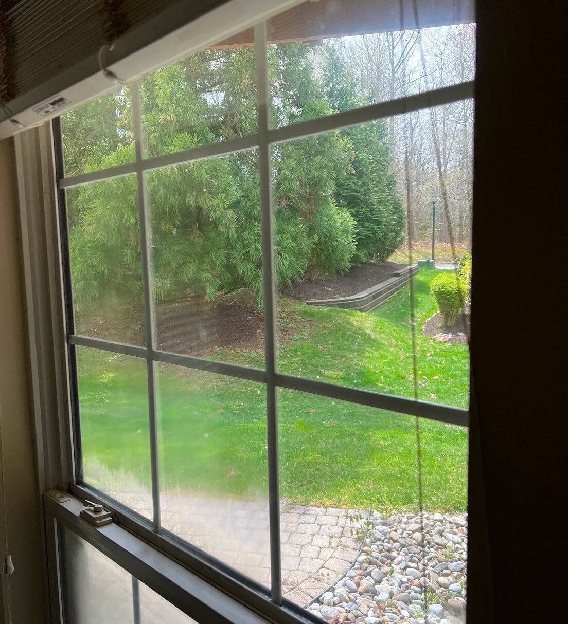 Before cleaning showing dirty exterior window